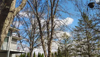 Tree Removal for Big River lawn Care services and snow LLC in Wausau, WI