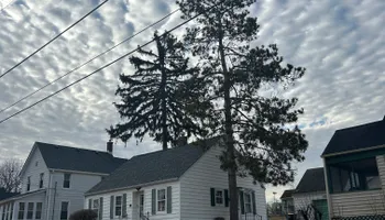 Tree Removal for Fransen's Tree Service  in Freeport, IL