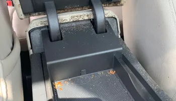 Bed Bug Heating Service for Platinum Pest Control in Brooksville, FL