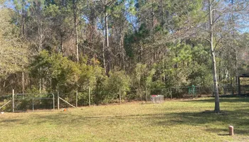 Tree Removal for Top Notch Tree Experts in Orange Park, FL