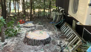 Tree Removal for Abair Tree Service in Weare, NH