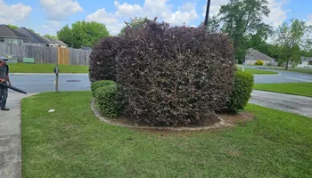 Mulch Installation for Southern Shade Property Service in Ray City, GA