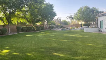 Shrub Trimming for Revolution Landscape Construction in Mesa, AZ