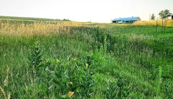 Wildlife & Hunting Property Management for Bluffside Forestry in Cedar Rapids, IA