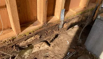 Windows and Doors for Santee Home Improvements  in Santee, SC