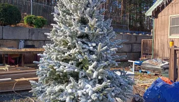 Pinestraw for BAM Another Pinestraw Lot in Flowery Branch, GA