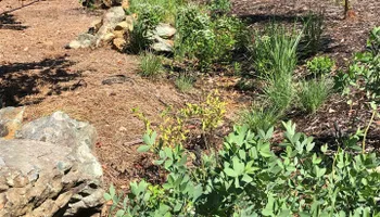 Erosion Control / Water Management for Christina King Landscape Design in West Raleigh, NC
