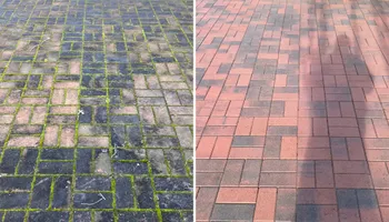 Window Cleaning for Oliver Maintenance in Burlington, WA