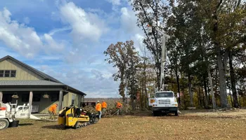 Tree Removal for Ross Family Tree Service LLC  in Hohenwald, TN