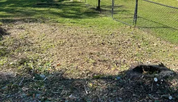 Fall Clean Up for Estrada All Pro Lawn Service in Auburndale, Florida