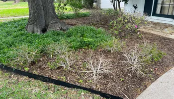 Mowing for Cortez Landscaping Services in Mesquite, TX