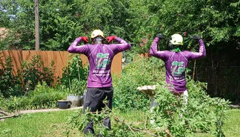 Tree Removal for Marvelous Marvin's Tree Care in Garland, TX