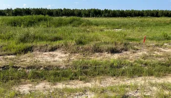 3009 Stacy Ln, Deer Park for My Linda House in Houston, TX