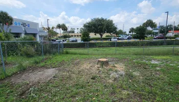 Tree Trimming for Highlife Tree Care And Landscaping in Altamonte Springs, FL