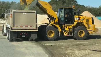 Tree Removal for CFS Services in Fort Meade, FL