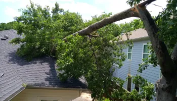 Tree Removal for Marvelous Marvin's Tree Care in Garland, TX