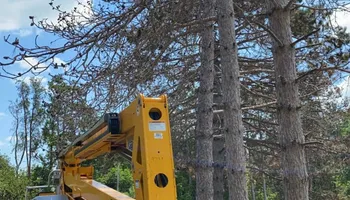 Tree Removal for K and Z Tree Care in Andover, MN
