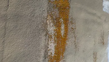 Interior Painting for Classic Shades Painting Water Damage & Restoration LLC in Mesa, AZ