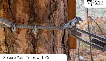 Tree Removal for MTJ Tree Removal LLC in Zebulon, NC