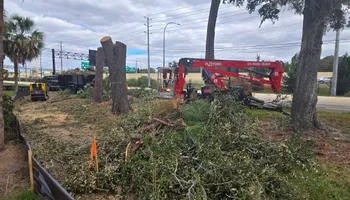 Tree Removal for Near Me Tree Service, Inc. in DeLand, FL