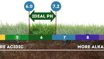 Pricing for Kathleen's Lawn & Shrub Care in Augusta, GA