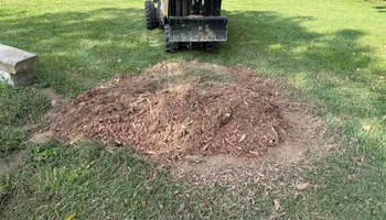 Stump Removal for Conrad's Stump Removal in Columbus, IN