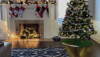 Residential Cleaning for 2 Girls & A Towel in Springfield, MO