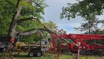 Tree Removal for Smith Tree Experts in Palmyra, VA