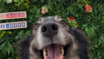 Our Locations for Sweet Pearl's Ice Cream in Garland, TX