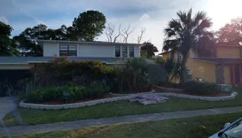 Mowing for Lawn Dogz Lawns & Landscaping in Tampa, FL