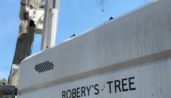 Tree Removal for Robery's Tree Service in West Wareham, MA