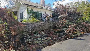Land Clearing & Demolition for D&S Tree and Demolition Services in Laurens, SC