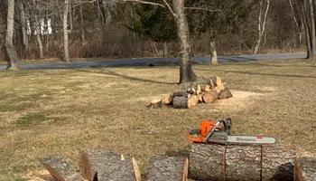 Tree Removal for Gray's Tree Service  in Shenandoah County, VA