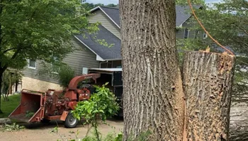 Tree Removal for Gray’s Tree Service Inc in Maurertown, VA