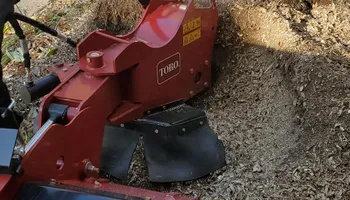 Tree Removal for W D Giampa Lawns and Landscape Inc. in Independent Hill, VA