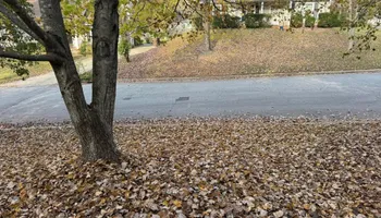 Tree Removal for Meade tree service in Greensboro, NC