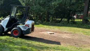 Tree Removal for Fransen's Tree Service  in Freeport, IL