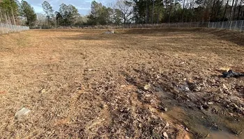 Land Clearing for Deeply Rooted Lawn Maintenance in Winder, GA