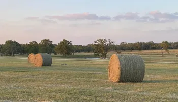 Land Clearing for Buch Ranch Services in Corpus Christi, TX