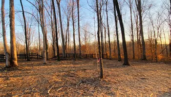 Land Clearing & Demolition for Green Land Management in Mount Pleasant, TN