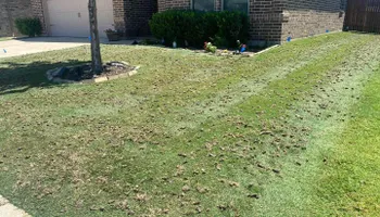 Lawn Aeration for North Texas Groundscaping in Frisco, TX