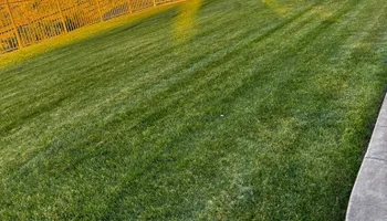 Lawn Maintenance for Sale Property Services in Montrose, CO