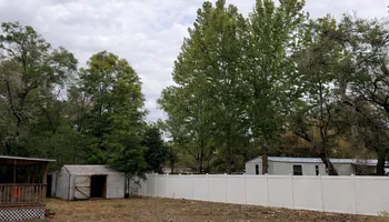 Tree Pruning and Trimming for All Around Guys Tree Service in Ocala, FL