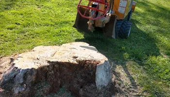 Residential Tree Services for TH Property Service, LLC in Kirkville, NY