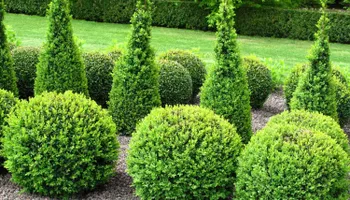 Mowing for S.C. Landscaping in Franklin, NH