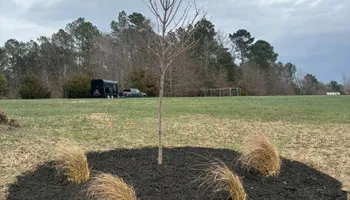 Lawn Maintenance for Palmetto State Landscaping in Gaffney, SC