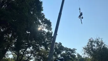 Tree Removal for Melnyk’s Tree Service in Salem County, NJ