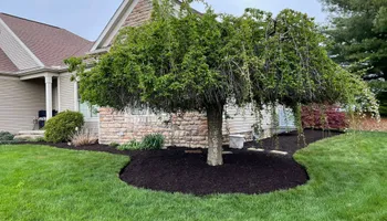 Lawn Mowing for Green Stripes LLC in North Canton, OH