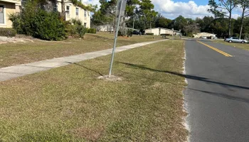 Fall Clean Up for Estrada All Pro Lawn Service in Auburndale, Florida
