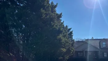 Tree Removal for SEALY TREE and LAWN in Cleveland, TN